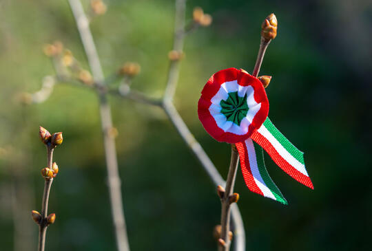 Nemzeti Ünnepünk és öko hétvége a Katica Tanyán