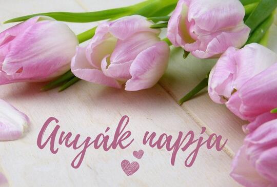 Középkori hétvége és anyák napja a Katica Tanyán