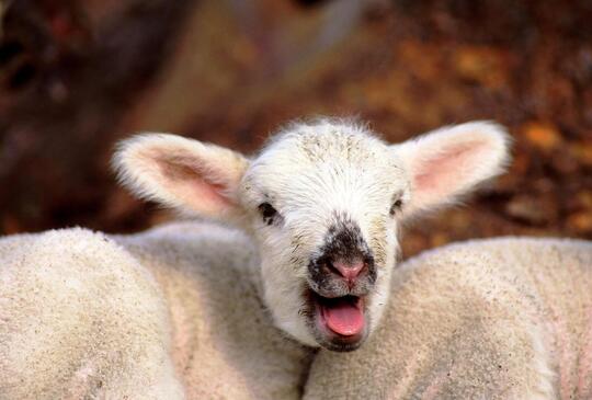 Hétvégi programok a család minden tagjának