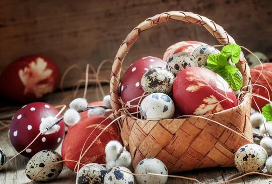 Itt az idő kimozdulni, vár a Katica Tanya!