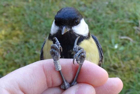 Megérkezett a tavasz a Katica Tanyára!