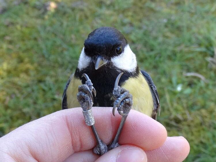 Megérkezett a tavasz a Katica Tanyára!