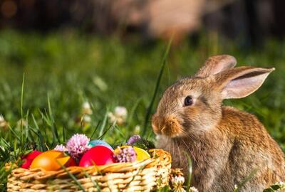 3, 2, 1... Itt a tavaszi szünet!