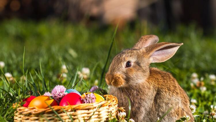 3, 2, 1... Itt a tavaszi szünet!