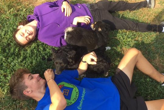 Dolgozz diákként a Katica Tanyán!