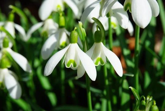 Jégtörő Mátyás a Katica Tanyán