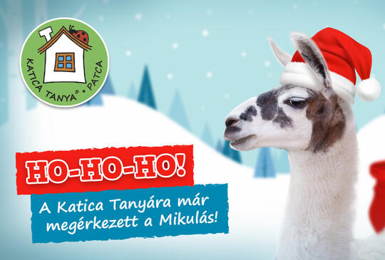 A Mikulás 2024-ben is ellátogat hozzánk!