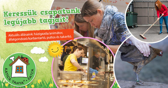 Aktuális állásaink