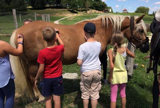 Lovas hétvége a Katica Tanyán!