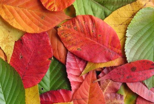 Minden, ami ősz a Katica Tanyán