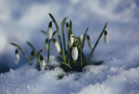 Jégtörő Mátyás a Katica Tanyán