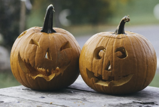 Mesterségek napja Rostás Klárával, „Tökjó” napok és Öko hétvége a Katica Tanyán